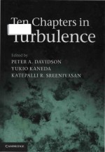 Ten chapters in turbulence