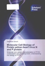 Molecular cell biology of potato yellow dwarf virus N and P protein molecular and cellular character