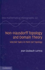 Non-Hausdorff topology and domain theory