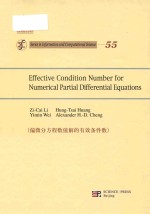 Effective condition number for numerical partial differential equations = 偏微分方程数值解的有效条件数