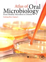 Atlas of oral microbiology from healthy microflora to disease