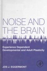 Noise and the brain experience dependent developmental and adult plasticity