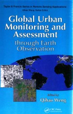 Global Urban Monitoring and Assessment Through Earth Observation