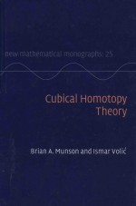 Cubical homotopy theory