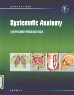 Systematic anatomy