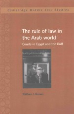 The rule of law in the Arab world