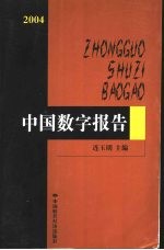 2004中国数字报告