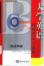 大学英语新视角 四级考试全透析·阅读理解