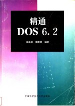 精通DOS6.2