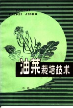 油菜栽培技术