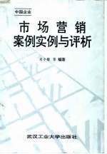 市场营销案例实例与评析 中国企业