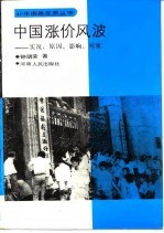 中国涨价风波 实况、原因、影响、对策