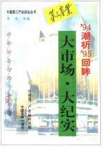 大市场·大纪实 '94潮析'95回眸