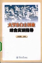 大学生自主创业综合实训指导