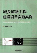 城乡道路工程建设项目实施实例