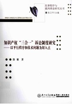 知识产权“三合一”诉讼制度研究 以平行程序和技术问题为切入点