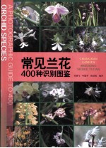 常见兰花400种识别图鉴