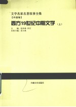 西方19世纪中期文学 上