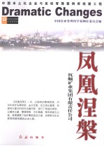 凤凰涅槃：抚顺矿业集团有限责任公司 2008年版