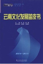 2008-2009云南文化发展蓝皮书