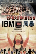 IBM风暴 世界最大计算机王国之谜