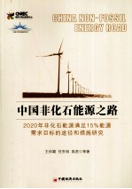 中国非化石能源之路 2020年非化石能源满足15%能源需求目标的途径和措施研究