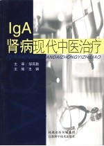 IgA肾病现代中医治疗