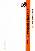 知识产权视野中的民间文艺保护