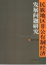 民族地区非公有制经济发展问题研究