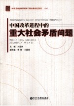 中国改革进程中的重大社会矛盾问题