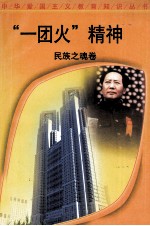 “一团火”精神 民族之魂卷