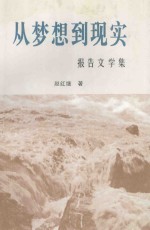 从梦想到现实 报告文学集