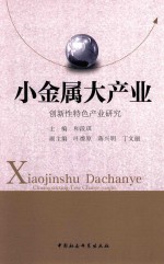 小金属大产业 创新性特色产业研究