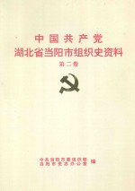 中国共产党湖北省当阳市组织史资料  1989.1-1994.1  第2卷