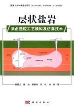 层状盐采卤造腔工艺模拟及仿真技术