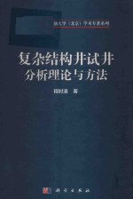 复杂结构井试井分析理论与方法