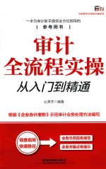 安斯财务全流程实操系列  审计全流程实操从入门到精通