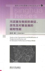 污泥基生物炭的表征、改性及对重金属的吸附性能