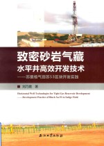 致密砂岩气藏水平井高效开发技术 苏里格气田苏53区块开发实践