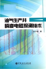 油气生产井瞬变电磁探测技术