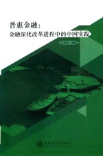 普惠金融 金融深化改革进程中的中国实践