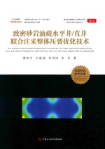 致密砂岩油藏水平井/直井联合注采整体压裂优化技术