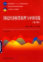 21世纪统计学系列教材  国民经济核算原理与中国实践  第4版