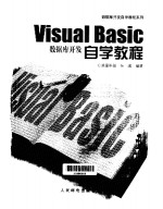 Visual Basic数据库开发自学教程