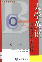 大学英语新视角 四级考试全透析·写作