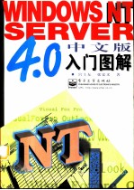 Windows NT Server 4.0中文版入门图解