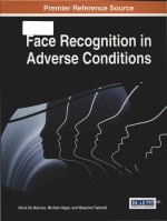 Face recognition in adverse conditions