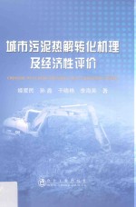 城市污泥热解转化机理及经济性评价