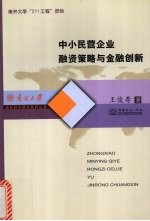 中小民营企业融资策略与金融创新