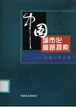 中国城市化道路探索 以海宁市为例